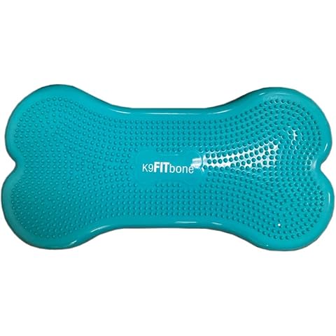 FitPAWS feature image