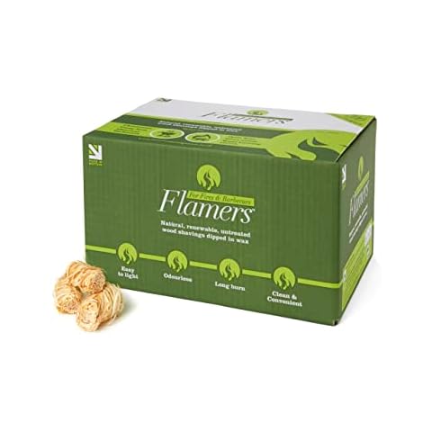 Flamers feature image