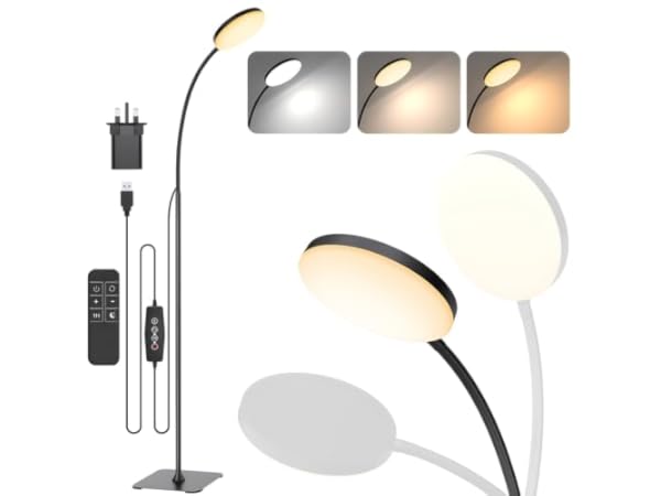 Floor Lamps & Torchieres Thumbnail