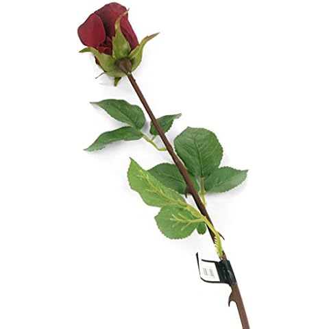 Floral Elegance feature image