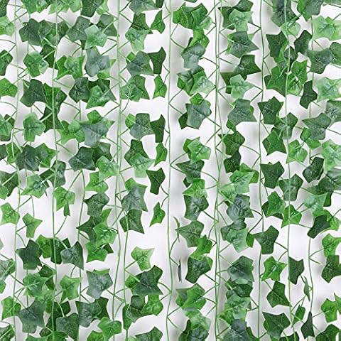 Floralsecret feature image