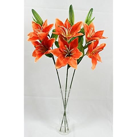 FloralStem thumbnail