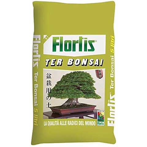 Flortis feature image