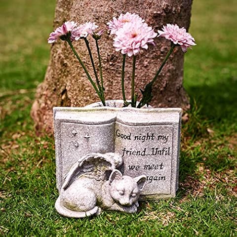 Floryden feature image