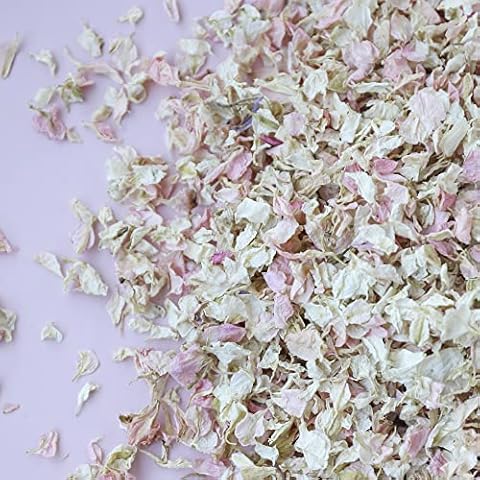 Flower Confetti feature image