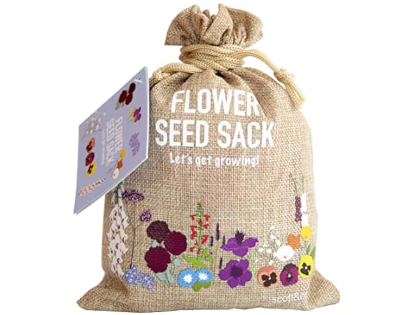 Flower Seeds Thumbnail