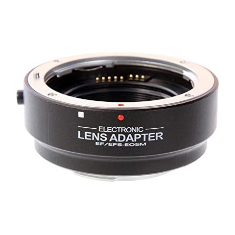 FocusFoto feature image