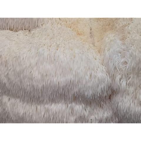 Foragers Table feature image