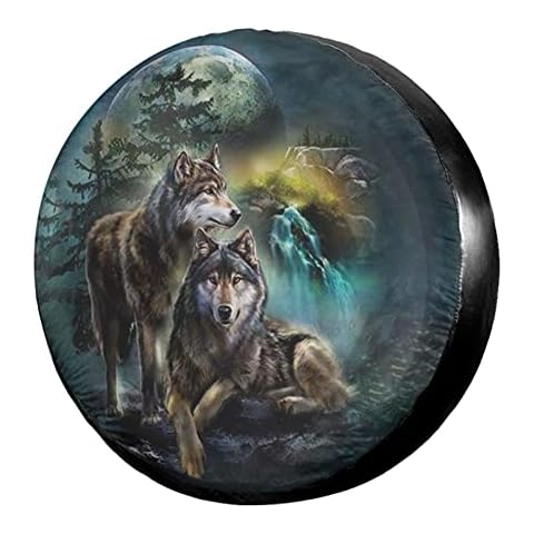 Foruidea feature image