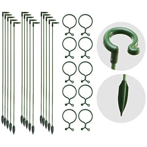 FralnFit feature image