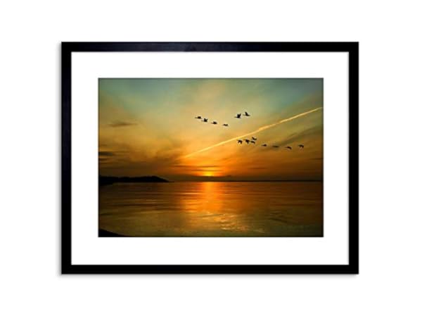 Framed Paintings Thumbnail