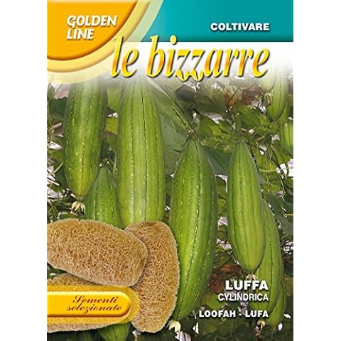 Franchi Seeds Of Italy feature image