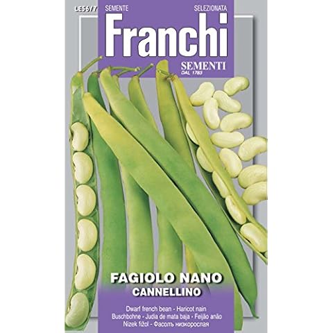 Franchi Seeds feature image