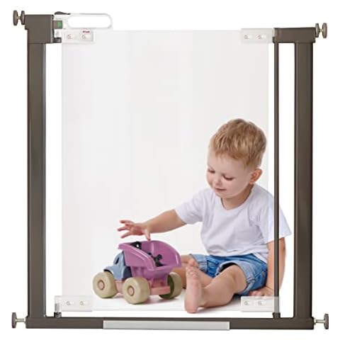 Fred & Friends feature image