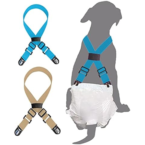 FresherAcc feature image