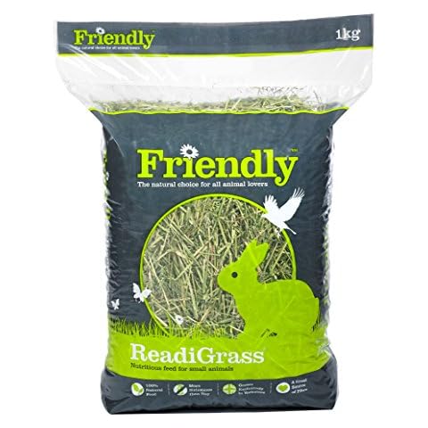 Friendly feature image