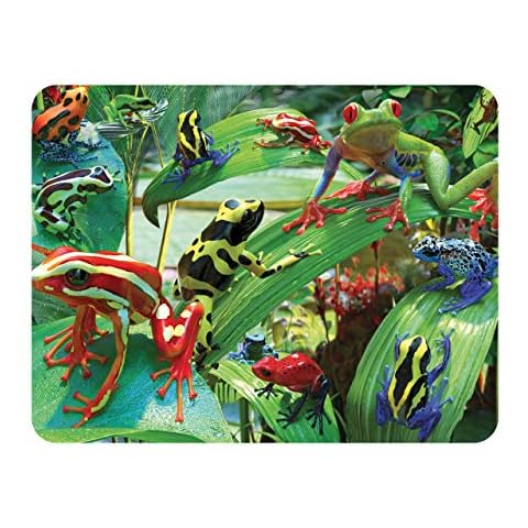 Frogs Fridge Magnets