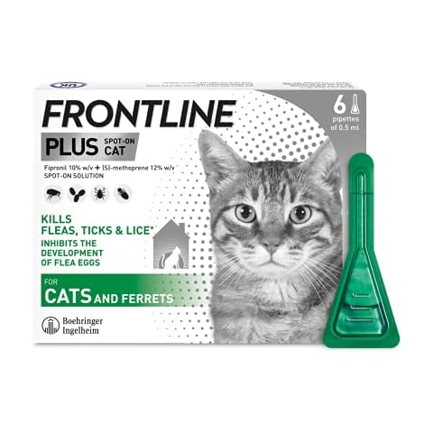 FRONTLINE thumbnail