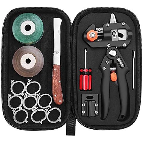 FUJIWARA feature image