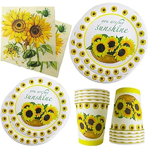 FYDZBSL feature image