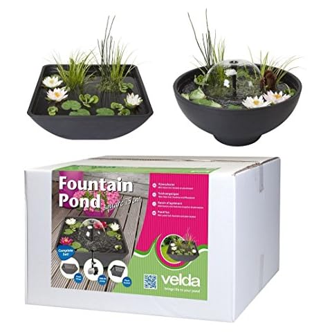 Gärtner Pötschke feature image