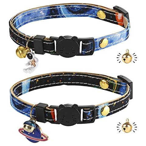 Gienxias feature image