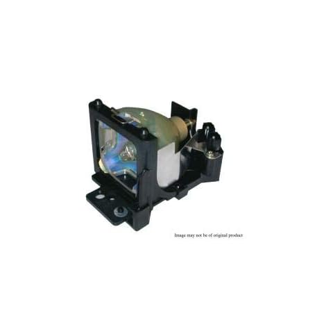 Go Lamps feature image