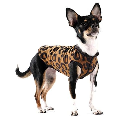 Gold Paw thumbnail