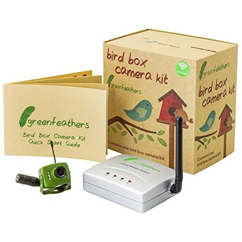Green Feathers thumbnail