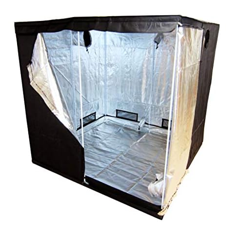 Green Lamp feature image