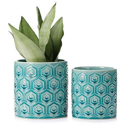 Greenaholics feature image