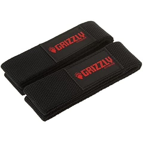 Grizzly Fitness feature image