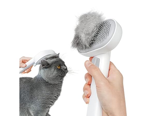 Grooming Brushes for Cats Thumbnail