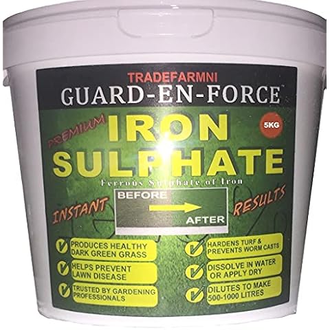 GUARD-EN-FORCE feature image
