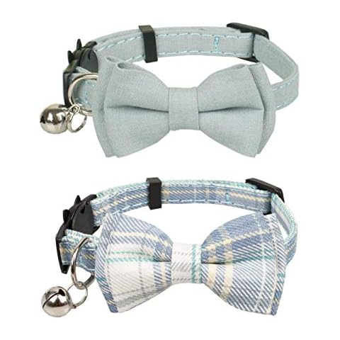 Gyapet feature image