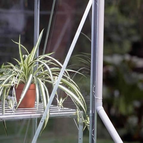 Halls Greenhouses feature image