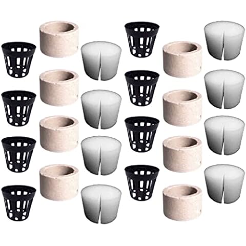 HANABASS feature image
