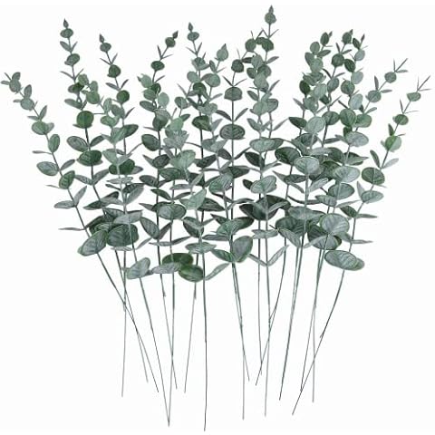 HAOSHICS feature image