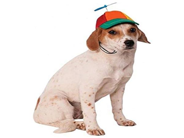 Hats for Dogs Thumbnail