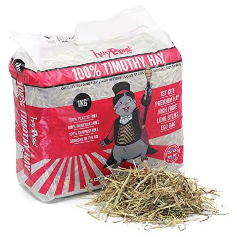 HAYPIGS thumbnail