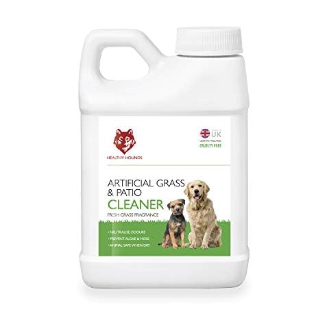 Healthy Hounds thumbnail