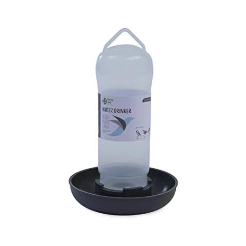 Henry Bell feature image