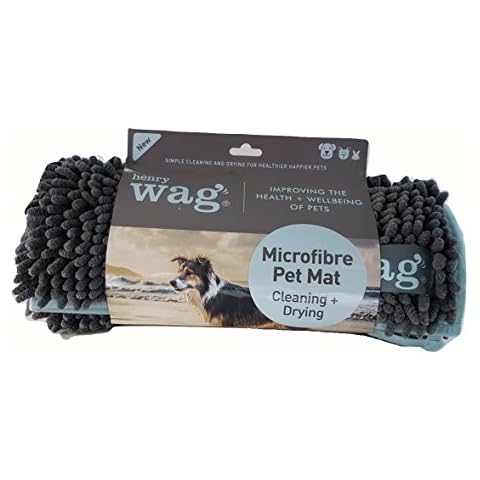 Henry Wag feature image