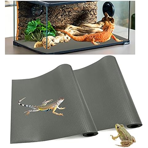 Hlimior feature image