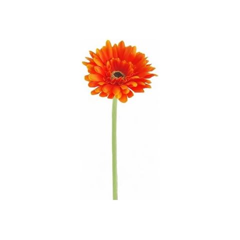 Homestreet Flowers feature image