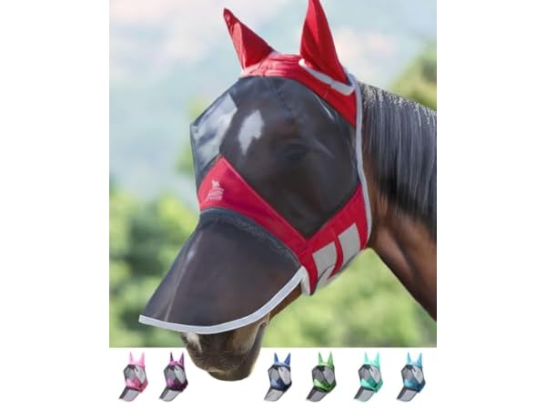 Horse Fly Masks Thumbnail