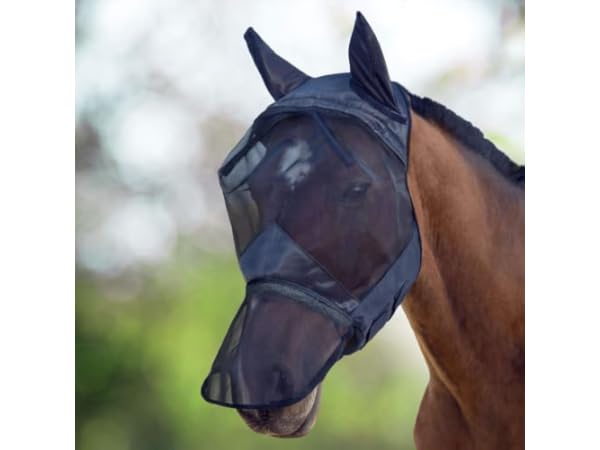 Horse Fly Masks Thumbnail