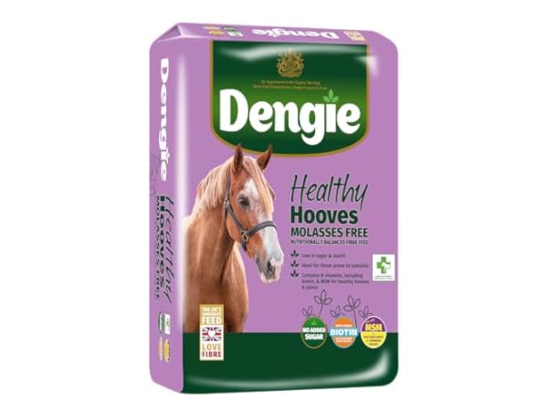 Horse Food Thumbnail