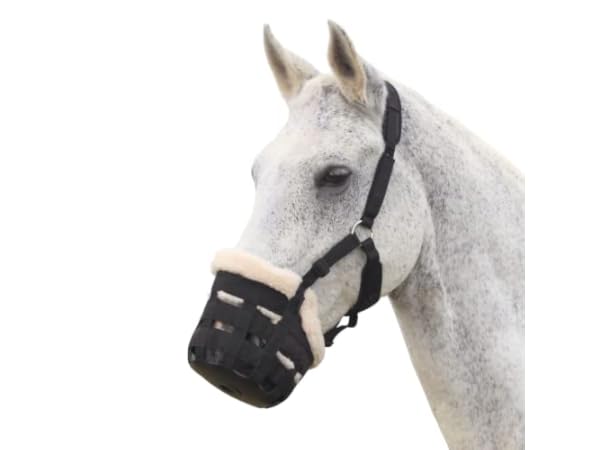 Horse Muzzles Thumbnail
