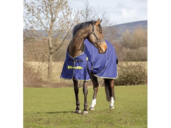 Horse Rugs Thumbnail